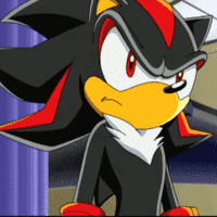 Shadow the Hedgehog (Light Mobius) MBTI Personality Type: XXXX or XXXX?