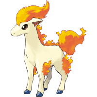 Ponyta