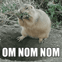 Om Nom Nom Nom