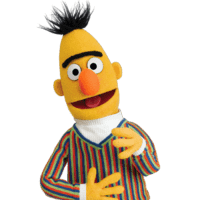 Bert