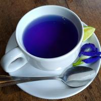 Butterfly Pea Tea