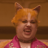 Jennyanydots the Gumbie Cat