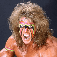 The Ultimate Warrior