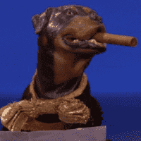 Triumph, the Insult Comic Dog