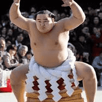 Sumo Wrestling