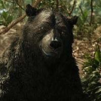 Baloo