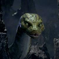 Kaa