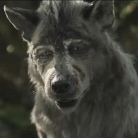 Akela