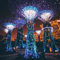 Gardens by the Bay (Singapore)