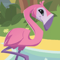 Flamingo