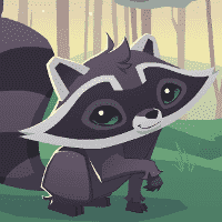 Raccoon