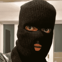 The Burglar