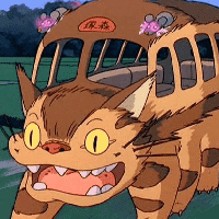 Catbus