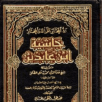 Ibn Abidin, Hanafi Jurist