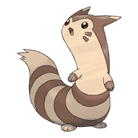 Furret (Ootachi)