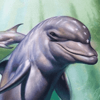 Ecco The Dolphin