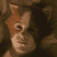 Mungojerrie